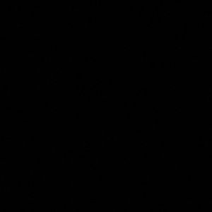 Meet your Posher, Noemi